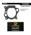 BRIGGS & STRATTON Guarnizione base per  QUANTUM