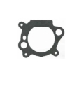 Immagine 1 di BRIGGS & STRATTON Guarnizione base per QUANTUM