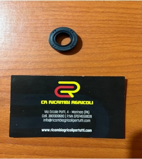 anello tenurta 15x25x5
