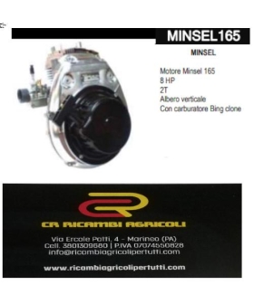 MINSEL Motore Minsel 165 8 HP 2T Albero verticale  Con carburatore Bing clone
