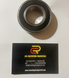 CUSCINETTO