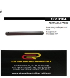 ADATTABILE PASBO Asse esagonale per mod: G14 Esagono 30 Interasse 247