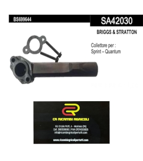BRIGGS & STRATTON Collettore per : Sprint – Quantum
