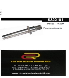 DIESSE – PASBO Perno per retromarcia g72