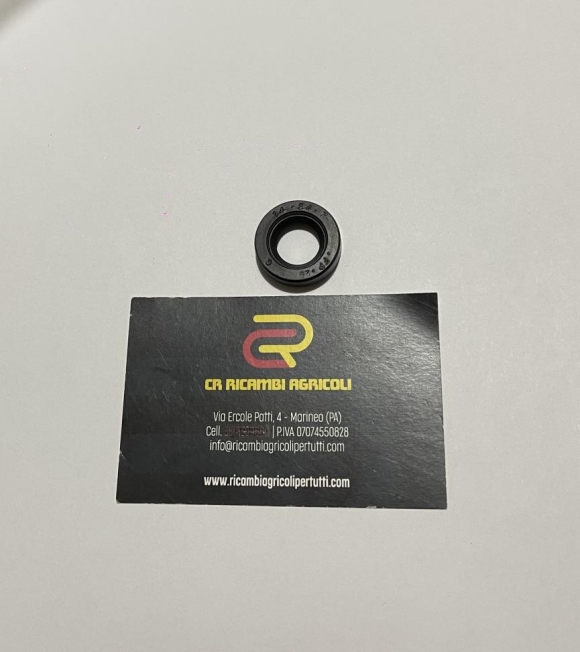 Immagine 0 di Anello tenuta 14x24x7