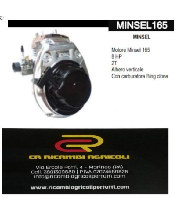 Immagine 0 di MINSEL Motore Minsel 165 8 HP 2T Albero verticale Con carburatore Bing clone