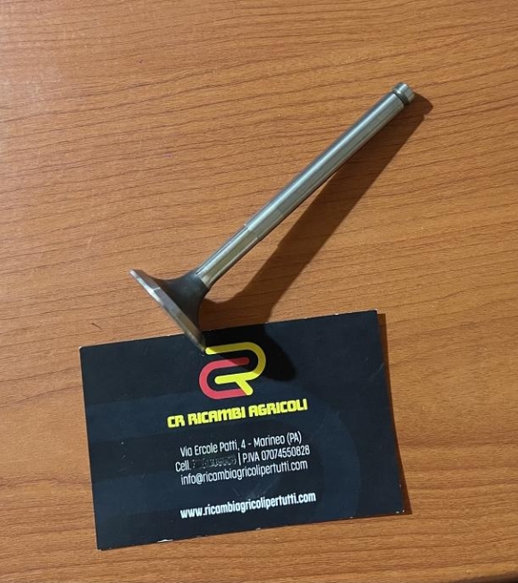 Immagine 0 di Valvola scarico Ruggerini RF80-81