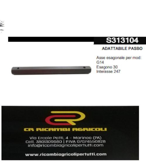 Immagine 0 di ADATTABILE PASBO Asse esagonale per mod: G14 Esagono 30 Interasse 247