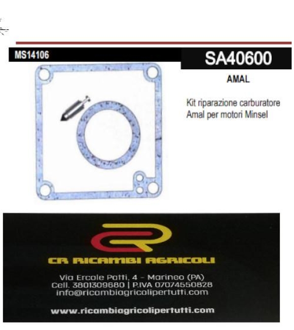 Immagine 0 di BRIGGS & STRATTON Kit riparazione Amal
