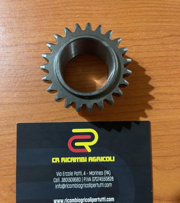 Immagine 2 di DIESSE – PASBO Ingranaggio folle Per modello G 14 Z 23