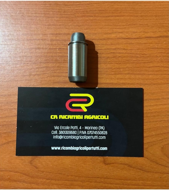 Immagine 0 di Guida valvola Ruggerini RD180 000 aspirazione e scarico