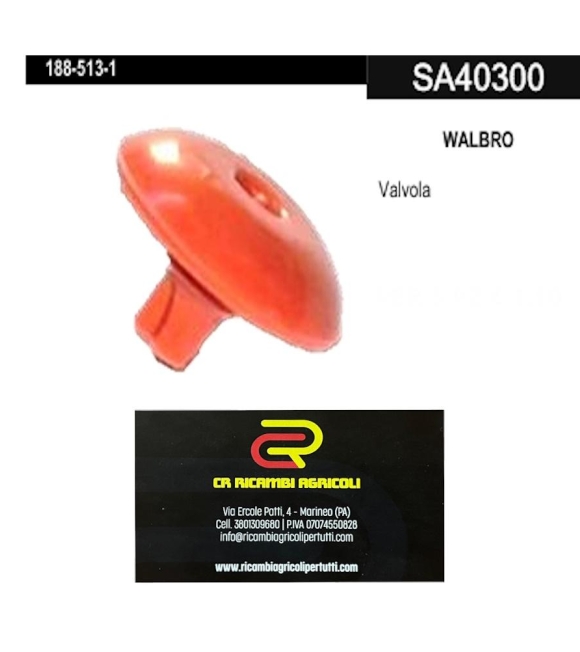 Immagine 0 di WALBRO Valvola
